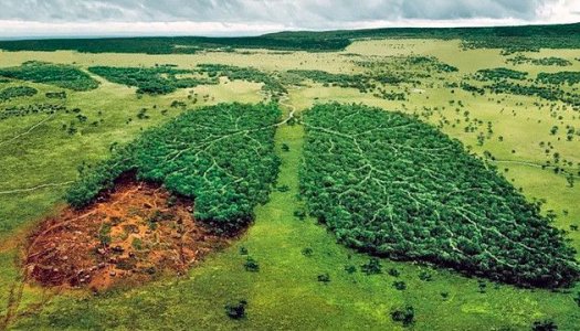 Mozhet-li-dym-kannabisa-povredit-lyogkie__DxoUIDnkRqlqm0BF.jpg