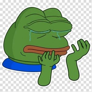 pepe.jpg pepe.jpg