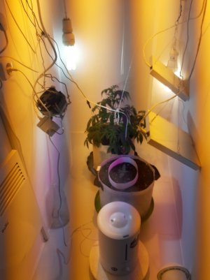 20220402_210106.jpg 20220402_210106.jpg
