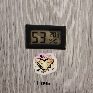 5278740555016299828.jpg