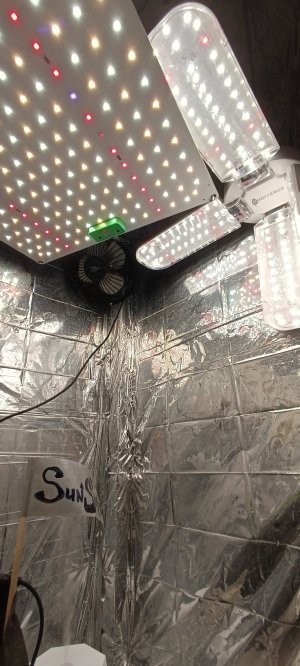 IMG_20241116_102302.jpg