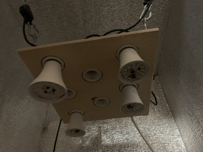 IMG_7693.jpeg