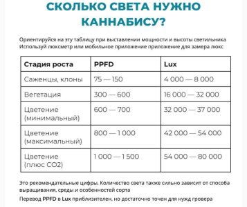 Люкс.jpeg