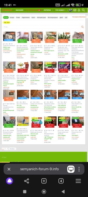 Screenshot_2024-12-05-19-41-31-209_com.yandex.browser.jpg