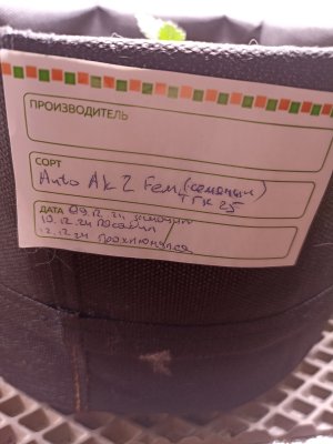 p-bO7w2vHEE.jpg