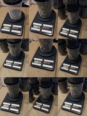 5460728528485083828.jpg
