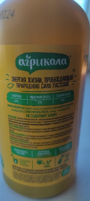 IMG_20250111_151700.jpg