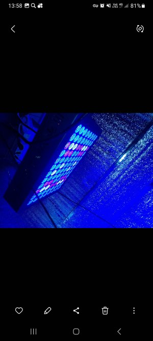 Screenshot_20250115_135835_Gallery.jpg