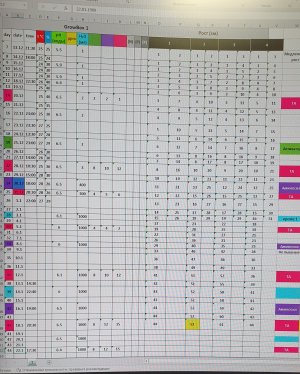 20250122_183020.jpg