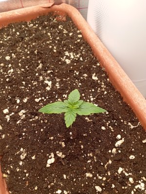 1000015452.jpg 1000015452.jpg