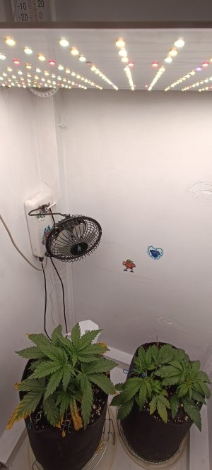 IMG_20250211_081513.jpg