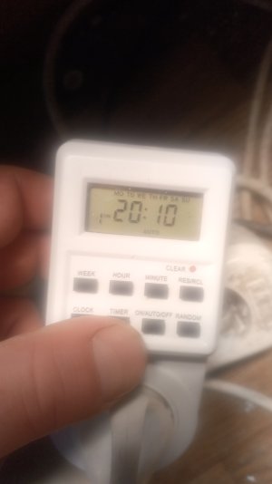 17403052201525246850673745292072.jpg