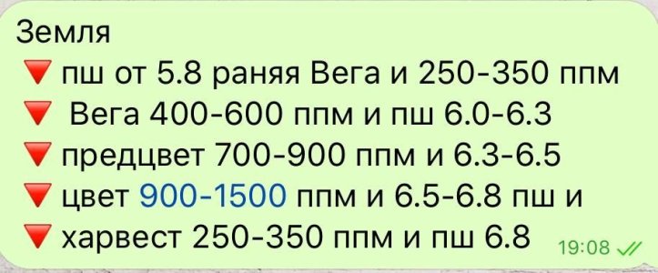 0AA2CA18-E280-41B4-B67A-291838C1BC41.jpeg