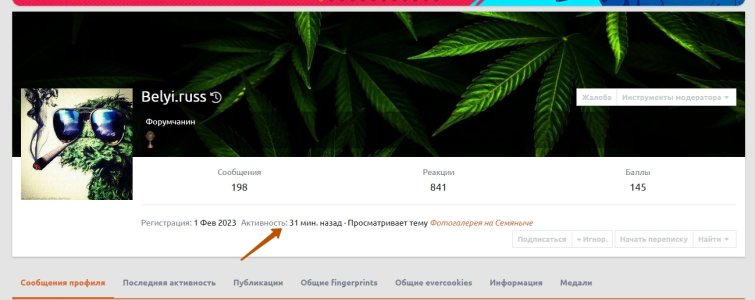 1740991115282.png