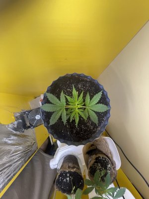 IMG_1602.jpeg