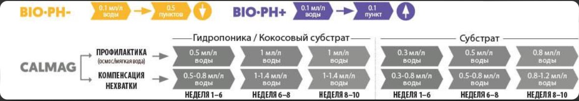 IMG_8970.jpeg
