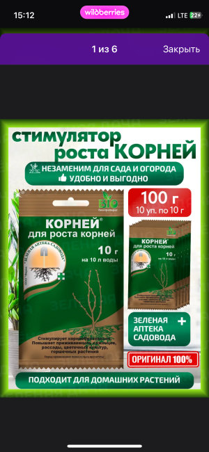 IMG_1745.png