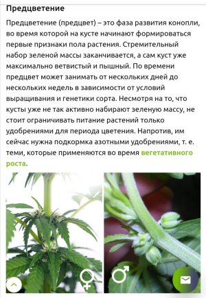 Screenshot_20250417_210642.jpg