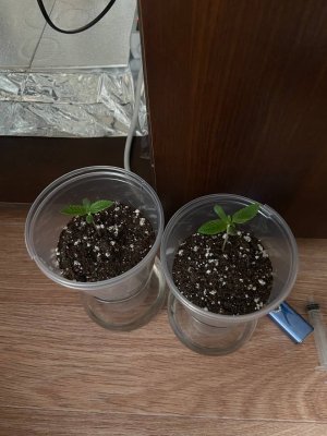 20.04.2025+.jpg