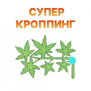 Superkropping.png