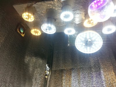 20220410_093804.jpg