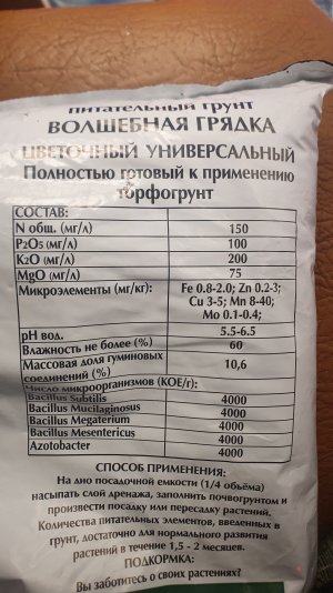 20250511_202455.jpg