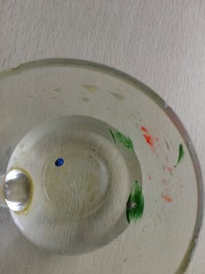 IMG_20250515_164747.jpg