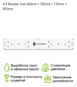 S50602-10023884.jpg