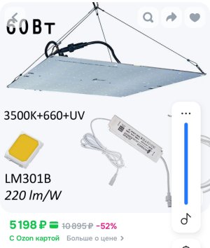 Screenshot_20250611-174615.jpg