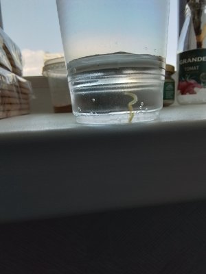 20250612_122802.jpg