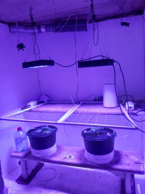 20250702_084605.jpg