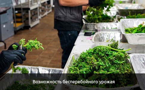 Vozmozhnost-konvejernogo-proizvodstva__XfnW3H56FPMvmXFM.jpg