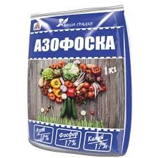IMG_3922.jpeg