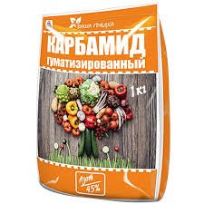 IMG_3921.jpeg