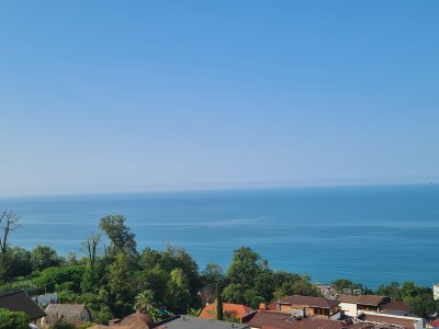20250714_081446.jpg