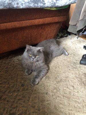 IMG_3930.jpeg
