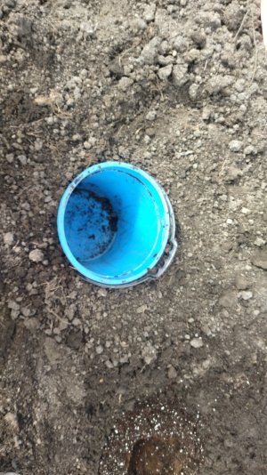 IMG_20250410_094624.jpg