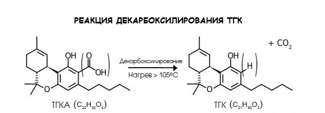 1000019443.jpg