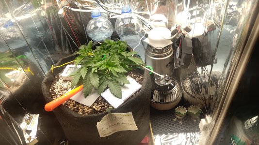P_20250803_160822.jpg