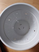 IMG_20250807_184346_404.jpg