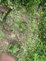 IMG_0501.jpeg