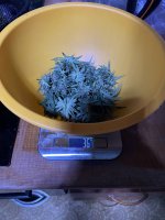 IMG_0164.jpeg