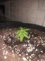 IMG_8140.jpeg