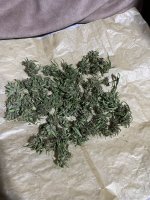 IMG_0186.jpeg