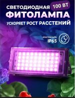 IMG_6662.jpeg
