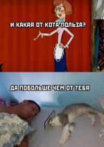 IMG_0244.png