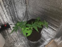 IMG_6671.jpeg