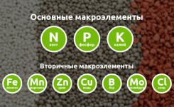 1755162552902.png 1755162552902.png