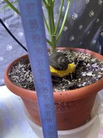 IMG_0520.jpeg