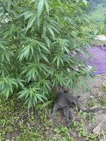 IMG_0324.jpeg